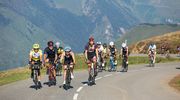 AUBISQUE 2021