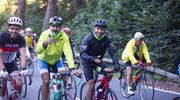 AUBISQUE 2019