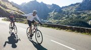 2019 AUBISQUE 