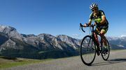 AUBISQUE 2021